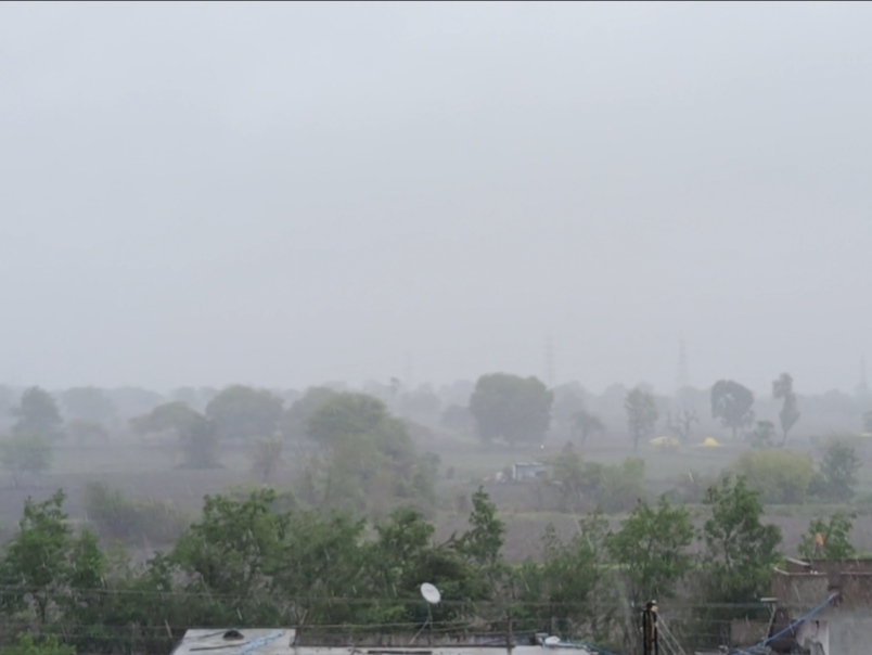 हिमायतनगर में झमाझम बारिश से किसानों को राहत, खरीफ फसलों को मिला जीवनदान
